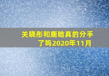 关晓彤和鹿晗真的分手了吗2020年11月