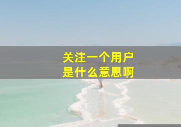 关注一个用户是什么意思啊