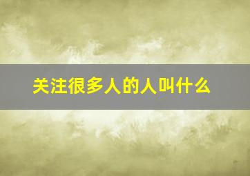 关注很多人的人叫什么