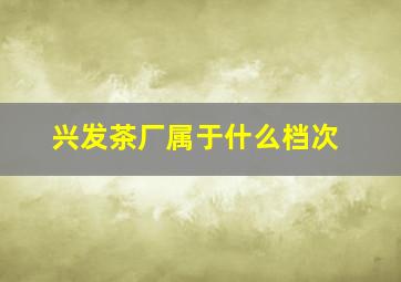 兴发茶厂属于什么档次