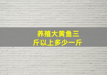 养殖大黄鱼三斤以上多少一斤