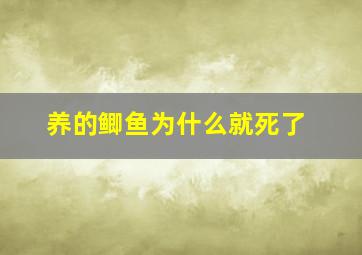 养的鲫鱼为什么就死了