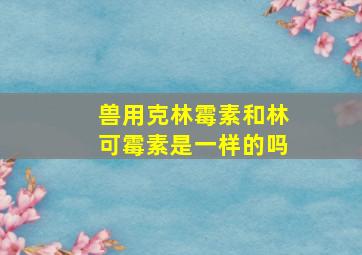 兽用克林霉素和林可霉素是一样的吗