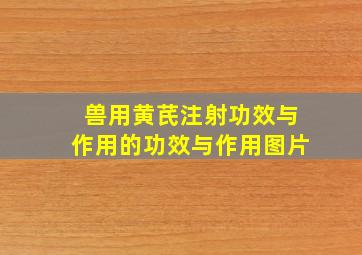 兽用黄芪注射功效与作用的功效与作用图片