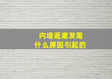 内墙返潮发霉什么原因引起的