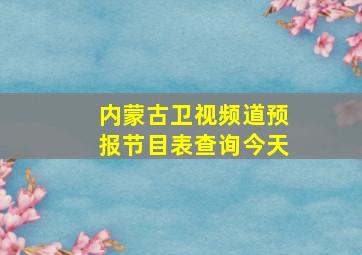 内蒙古卫视频道预报节目表查询今天