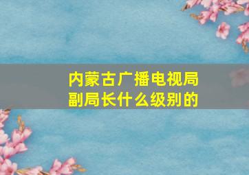 内蒙古广播电视局副局长什么级别的