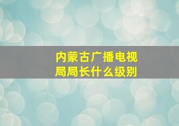 内蒙古广播电视局局长什么级别