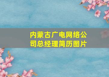 内蒙古广电网络公司总经理简历图片