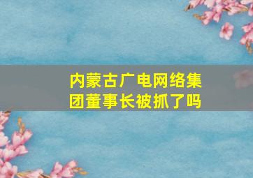 内蒙古广电网络集团董事长被抓了吗