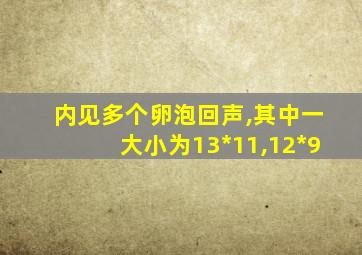 内见多个卵泡回声,其中一大小为13*11,12*9