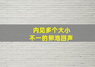 内见多个大小不一的卵泡回声