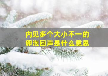 内见多个大小不一的卵泡回声是什么意思