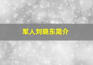 军人刘晓东简介