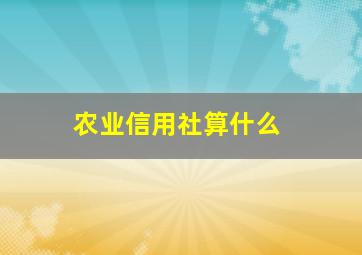 农业信用社算什么