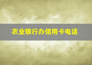 农业银行办信用卡电话