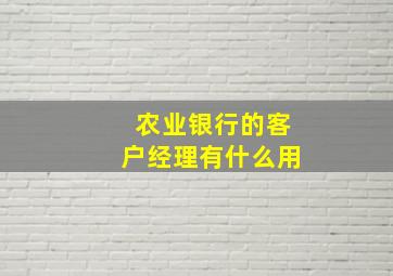 农业银行的客户经理有什么用