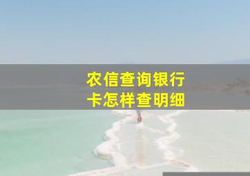 农信查询银行卡怎样查明细