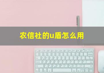 农信社的u盾怎么用