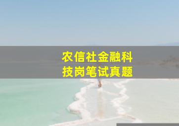 农信社金融科技岗笔试真题