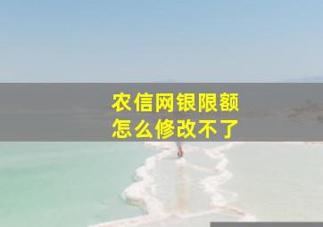 农信网银限额怎么修改不了