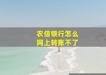 农信银行怎么网上转账不了