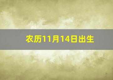 农历11月14日出生