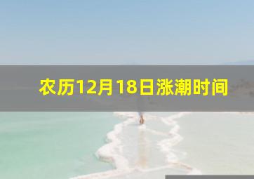 农历12月18日涨潮时间