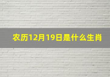 农历12月19日是什么生肖