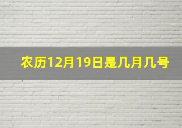 农历12月19日是几月几号