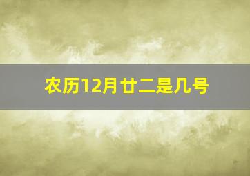 农历12月廿二是几号