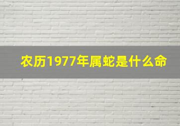 农历1977年属蛇是什么命