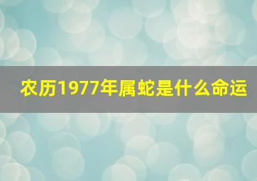 农历1977年属蛇是什么命运