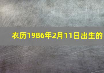 农历1986年2月11日出生的