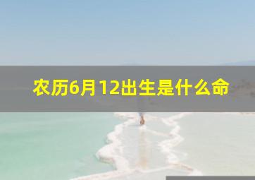 农历6月12出生是什么命