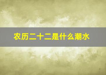 农历二十二是什么潮水