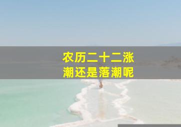 农历二十二涨潮还是落潮呢