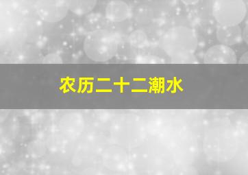 农历二十二潮水