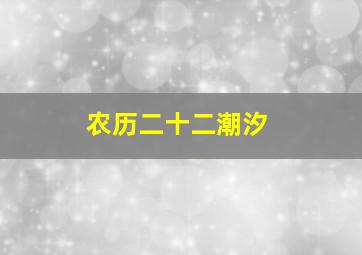 农历二十二潮汐