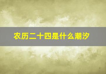 农历二十四是什么潮汐