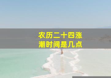 农历二十四涨潮时间是几点