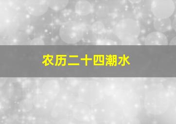 农历二十四潮水