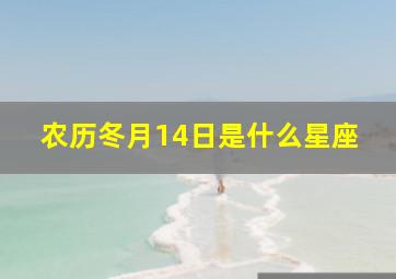 农历冬月14日是什么星座