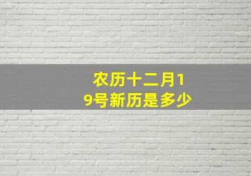 农历十二月19号新历是多少