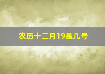 农历十二月19是几号