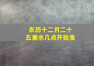 农历十二月二十五潮水几点开始涨