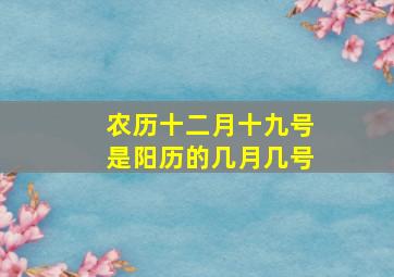 农历十二月十九号是阳历的几月几号