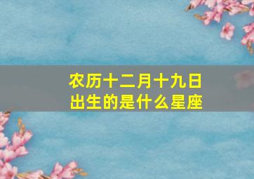 农历十二月十九日出生的是什么星座