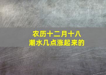 农历十二月十八潮水几点涨起来的