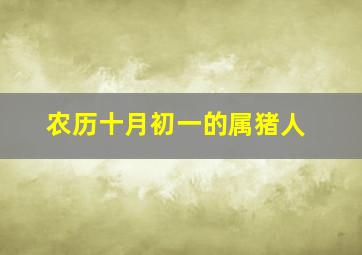 农历十月初一的属猪人